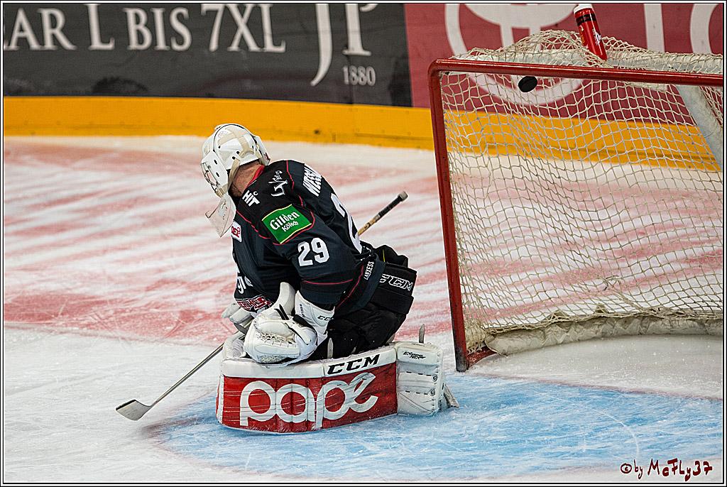 Koelner Haie - Pinguins Bremerhaven, 25.10.2016